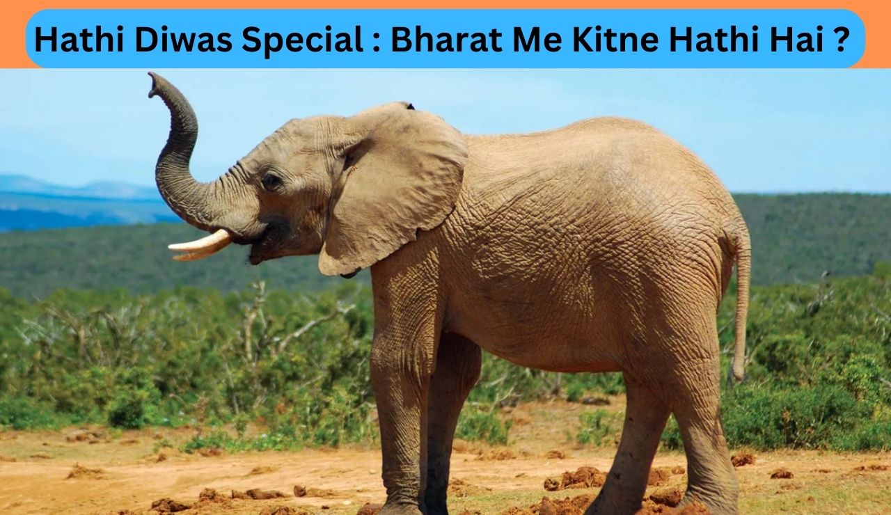 Hathi Diwas Special : Bharat Me Kitne Hathi Hai ?